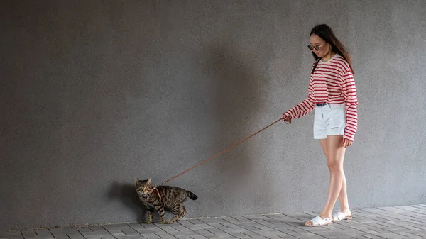 Mladá Žena Kráčí Šedou Tlustou Kočkou Vodítku Šedé Zdi — Stock fotografie
