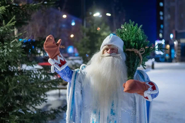 Père Noël Russe Claus Porte Arbre Noël Extérieur — Photo