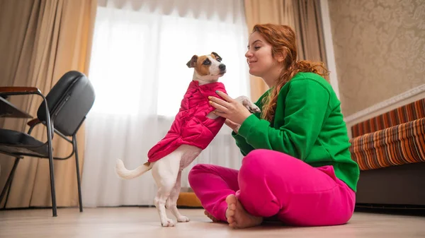 Biała Kobieta Przytula Psa Jack Russell Terrier Ubrany Różową Kamizelkę — Zdjęcie stockowe