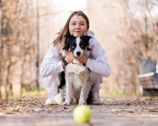 白人女性は秋の公園で散歩中に犬を抱きかかえた ボーダーコリーはボールを見て — ストック写真