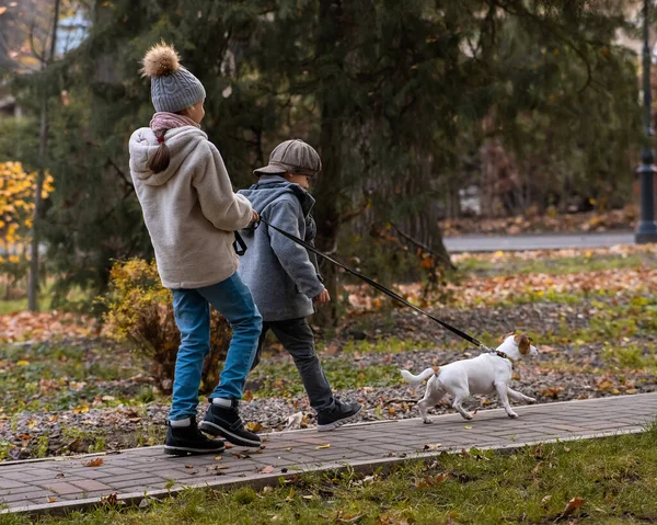 형제와 자매는 가을에 공원에서 줄타기를 테리어와 달리는 — 스톡 사진