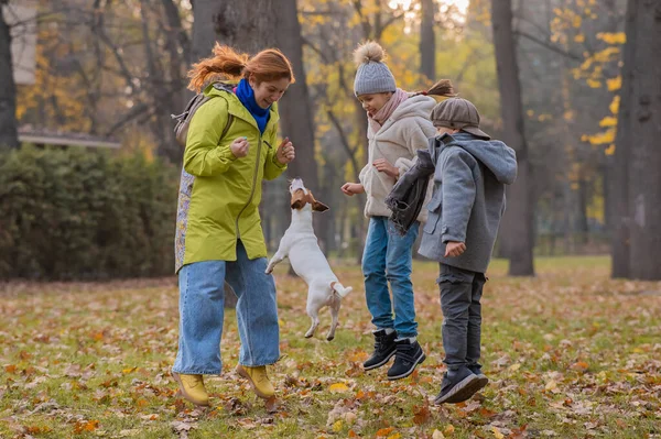 白人の子供たちと赤髪の女性遊びとともに犬ジャックRussellテリアで秋の公園 — ストック写真
