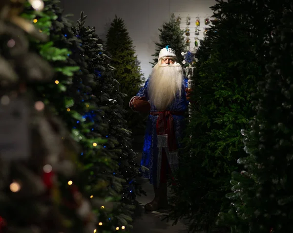 Russisk Julemand Med Stab Butik Med Kunstige Juletræer - Stock-foto