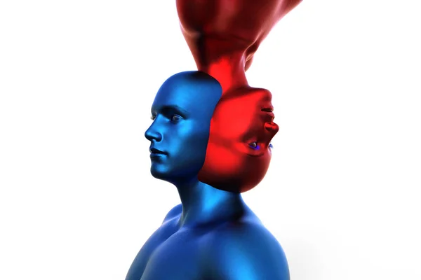 Render Fusión Una Cabeza Azul Masculina Una Cabeza Roja Femenina — Foto de Stock