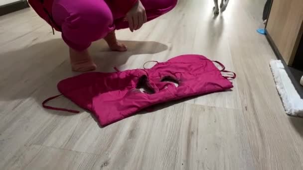 Eigenaar Kleedt Hond Jack Russell Terrier Een Roze Jasje Voor — Stockvideo
