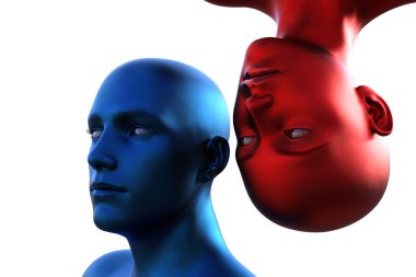 3 boyutlu görüntüleme. Mavi kel bir adamın portresi baş aşağı ve beyaz arka planda kızıl kel bir kadın.