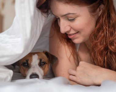 Kafkasyalı kızıl saçlı kadın beyaz çarşafta Jack Russell teriyer köpeğiyle kucak kucağa uyuyor.