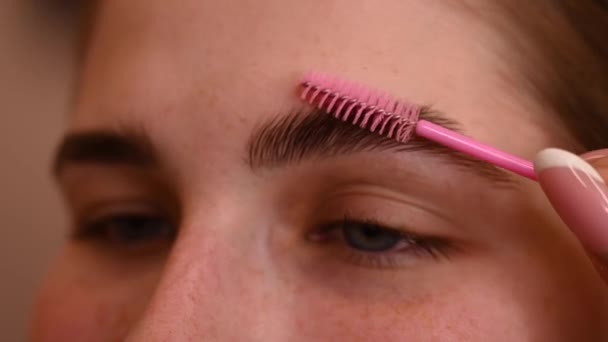 Master Combs Eyebrows Client Lamination Eyebrows — Stock Video