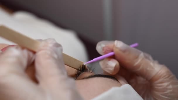 Master Cleans Eyelashes Woman Preparing Lamination — Stock Video
