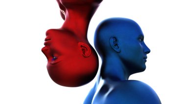 3 boyutlu görüntüleme. Mavi kel bir adamın portresi baş aşağı ve beyaz arka planda kızıl kel bir kadın.