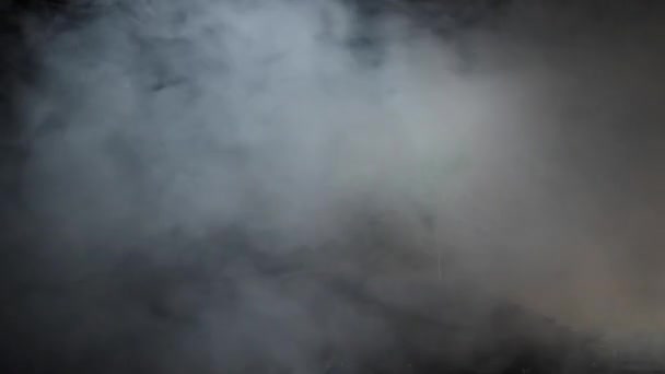 ズッキーニは黒い背景に霧の中で発芽します — ストック動画