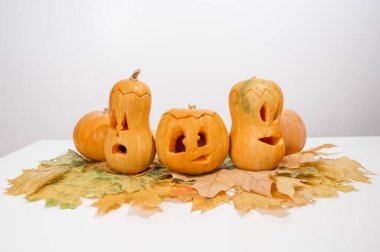 Akçaağaç yaprakları üzerinde bir grup balkabağı-fener. Beyaz arka planda Cadılar Bayramı dekorasyonu