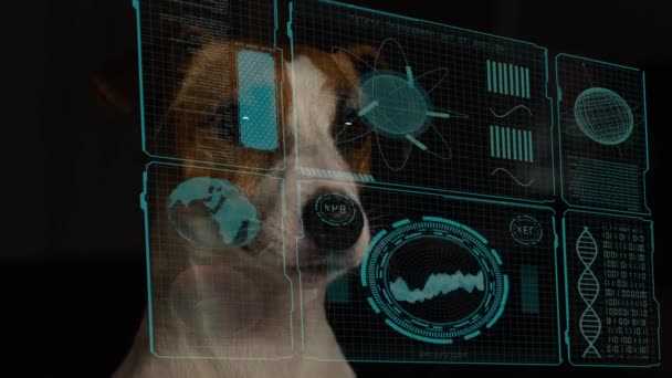 Dog Jack Russell Terrier Eyeglasses Looks Hud Menu — Αρχείο Βίντεο