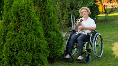 Elderly caucasian woman hugging a jack russell terrier dog while sitting in a wheelchair on a walk outdoors
