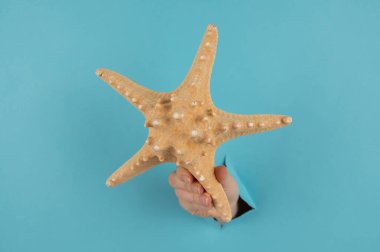 Mavi karton arka planda bir delikten dışarı sarkan denizyıldızı olan bir el.