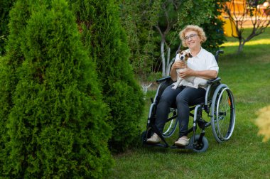 Elderly caucasian woman hugging a jack russell terrier dog while sitting in a wheelchair on a walk outdoors
