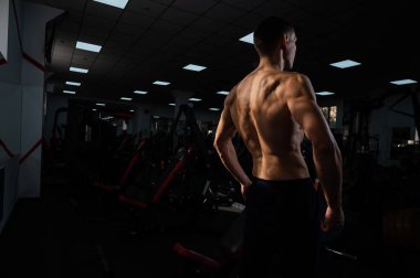 Back view of shirtless man with sculpted body in gym