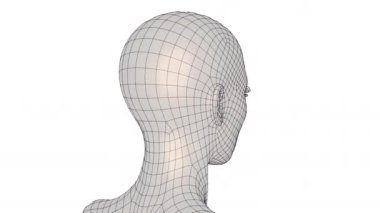 Portrait of a woman on a white background. The 3d frame of a female head is spinning and overgrown with skin.