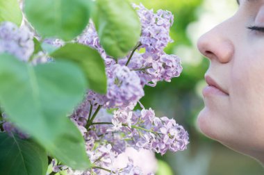Beyaz kadın çiçek açan leylağı kokluyor. Bahar havası