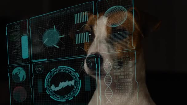 Dog Jack Russell Terrier Eyeglasses Looks Hud Menu — Stockvideo