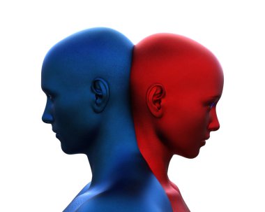 3 boyutlu görüntüleme. Beyaz arka planda bir erkek mavi kafa ve kırmızı bir kadının birleşmesi.