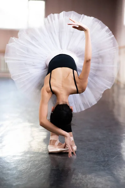 Anmutige Asiatische Ballerina Schwarzem Body Und Weißem Tutu Posiert Neigung — Stockfoto