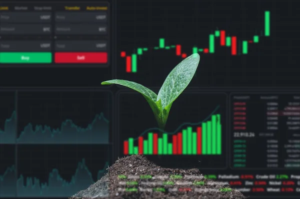 Hud Menü Auf Zucchini Sprossen Auf Schwarzem Hintergrund Aktiendiagramme Maklerterminal — Stockfoto