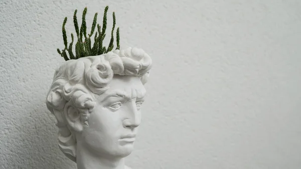 Pot Gypse Avec Une Plante Intérieur Forme Tête Homme Antique — Photo