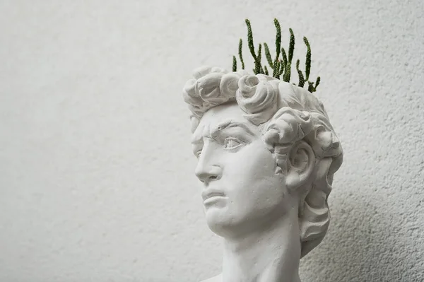 古代人の頭の形をした観葉植物と石膏の鍋 — ストック写真