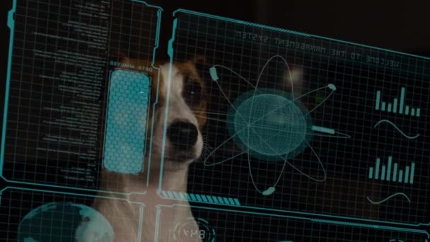Dog Jack Russell Terrier Eyeglasses Looks Hud Menu — стоковое видео