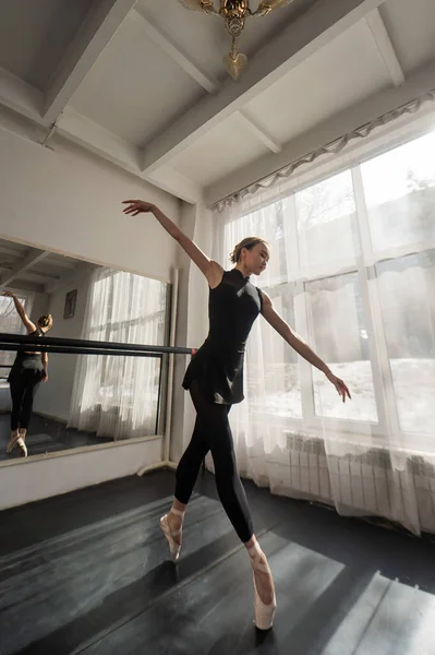 Seorang Balerina Asia Yang Cantik Berlatih Kelas Tari Foto Vertikal — Stok Foto
