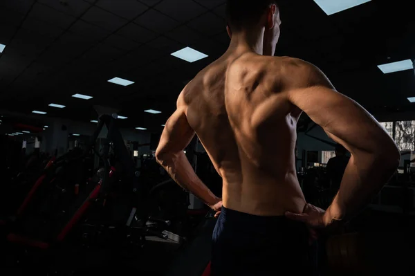 Back View Shirtless Man Sculpted Body Gym — Φωτογραφία Αρχείου