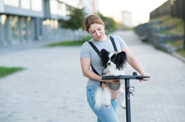 Bir kadın sırt çantasında bir köpekle elektrikli scooter kullanıyor. Pappilion Spaniel Continental askıda