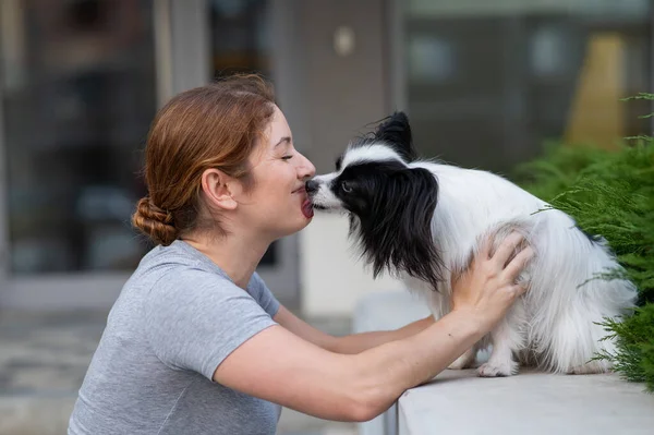 Caucasian red-haired woman kissing pappilion dog outdoors. Black and white continental spaniel