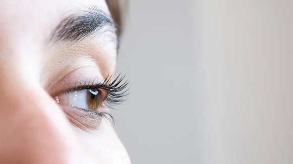 Close-up of a womans eye after an eyelash lamination procedure