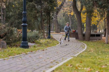 Çocuk parkta köpek Jack Russell Terrier ile koşuyor. Sonbahar Yürüyüşü