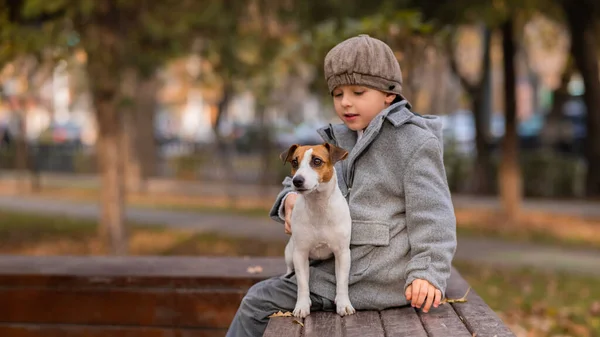 Белый Мальчик Сидит Скамейке Собакой Джеком Расселом Терьером Прогулке Осеннем — стоковое фото