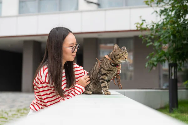 Striped Cat Sits Bench Outdoors Young Woman Walking Her Pet — Stock Photo, Image