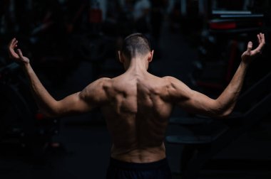 Back view of shirtless man with sculpted body in gym