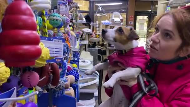 Vit Kvinna Och Hund Jack Russell Terrier Välja Leksak Djuraffär — Stockvideo