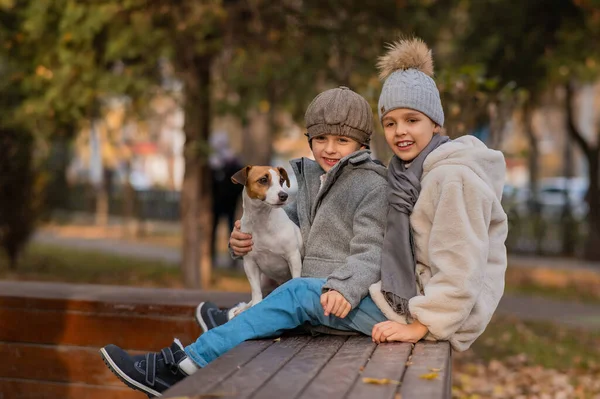 Брат Сестра Сидят Объятиях Собакой Скамейке Прогулки Осеннем Парке Мальчик — стоковое фото