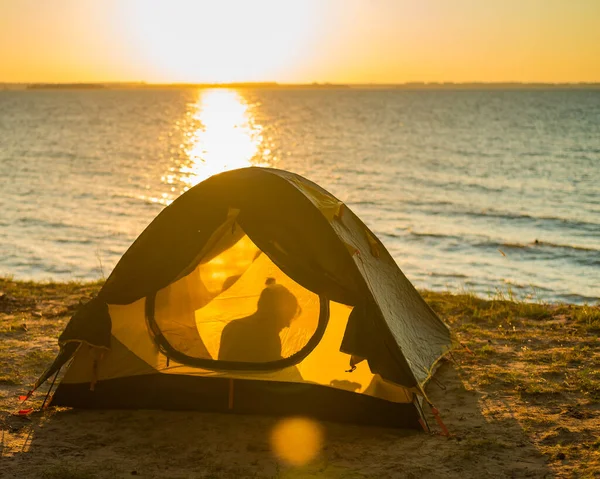 Kvinna Och Hund Ett Turisttält Vid Solnedgången Camping Med Husdjur — Stockfoto