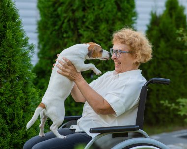 Elderly caucasian woman hugging a jack russell terrier dog while sitting in a wheelchair on a walk outdoors