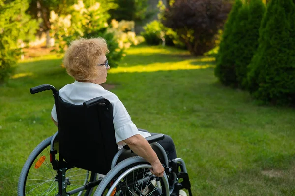 Happy Elderly Woman Sitting Wheelchair Walk Outdoors — Stockfoto
