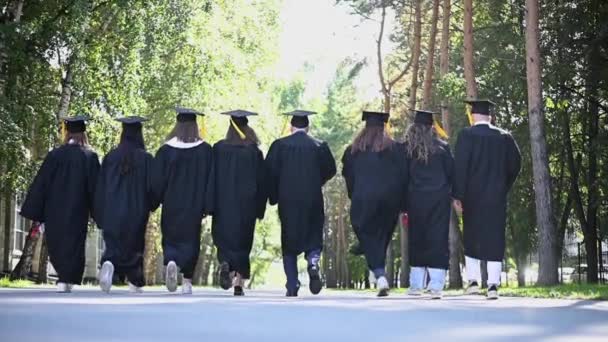 Rear View Group Happy Students Robes Throwing Academic Caps Air — Stock Video