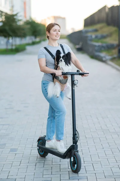 Bir Kadın Sırt Çantasında Bir Köpekle Elektrikli Scooter Kullanıyor Pappilion — Stok fotoğraf