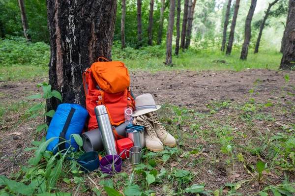 Çam Ormanında Yürüyüş Ekipmanları Sırt Çantası Termos Uyku Tulumu Pusula — Stok fotoğraf