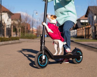 Köy evinde bir kadın elektrikli scooter kullanıyor. Yanında da köpeği Jack Russell Terrier var.