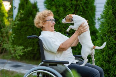 Elderly caucasian woman hugging a jack russell terrier dog while sitting in a wheelchair on a walk outdoors