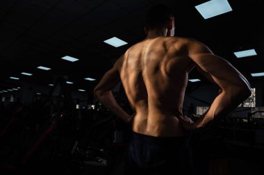 Back view of shirtless man with sculpted body in gym